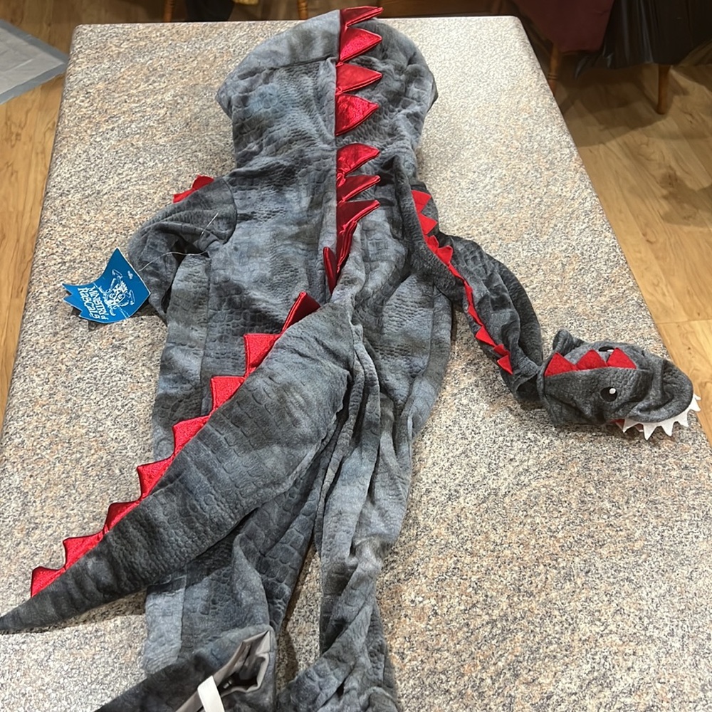 Ministry of Rascal dragon costume size 2T - Picture 14 of 15